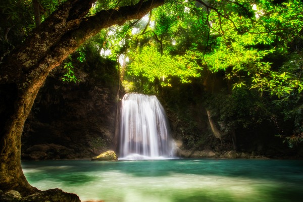 Waterfall in forest