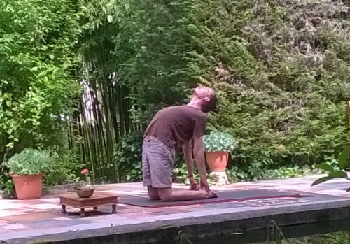 Alex Wales demonstrating ustrasana