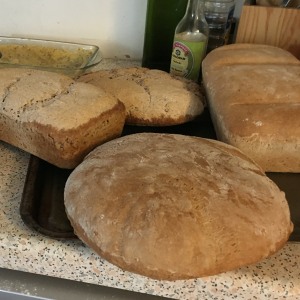 Home made Bread