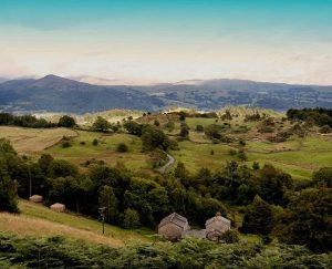 Picture of AYP 5-day yoga and meditation retreat - Devon, U.K. 