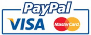 Paypal logo