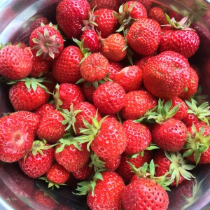 Strawberries