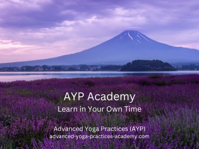 AYP Academy
