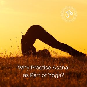 Read more about the article Podcast – Why Practise Asana as Part of Yoga?