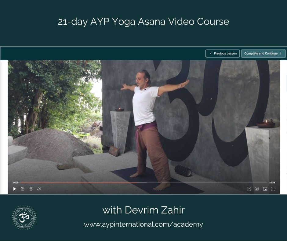 AYP Yoga Asana Video Course