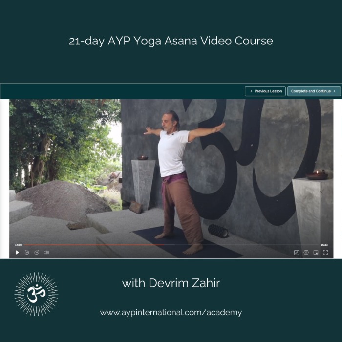 Yoga Asana Course with Devrim Zahir