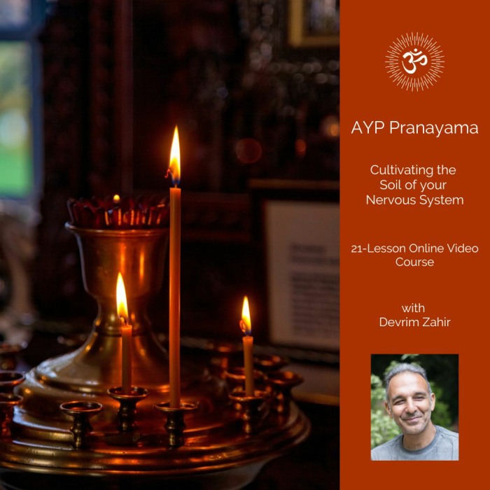AYP Pranayama Online Video Course