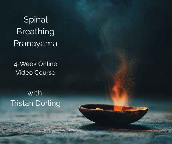 Spinal Breathing Pranayama